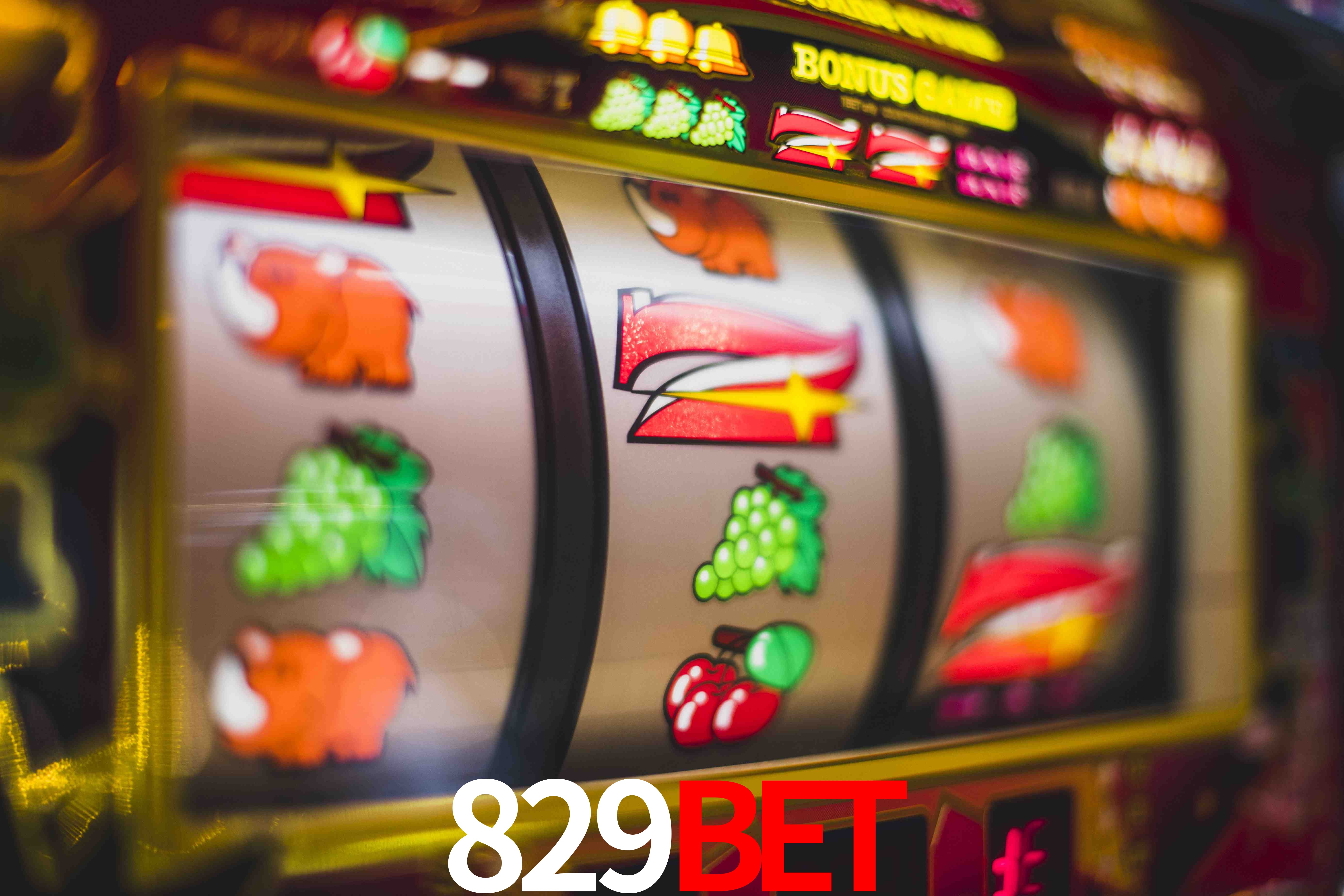 Statistics 829bet